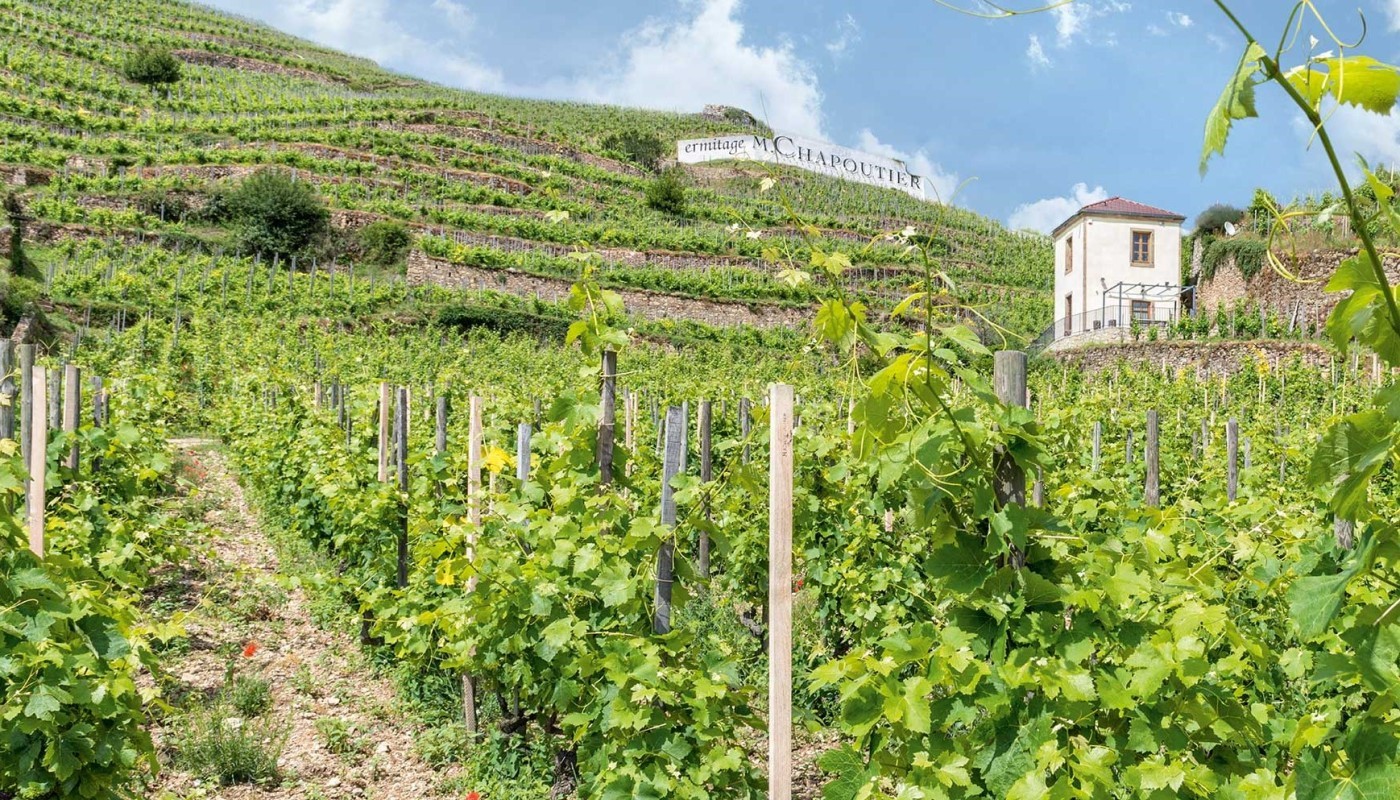 WINEBOX, MUSICAL BOX… | Articles & Know-how