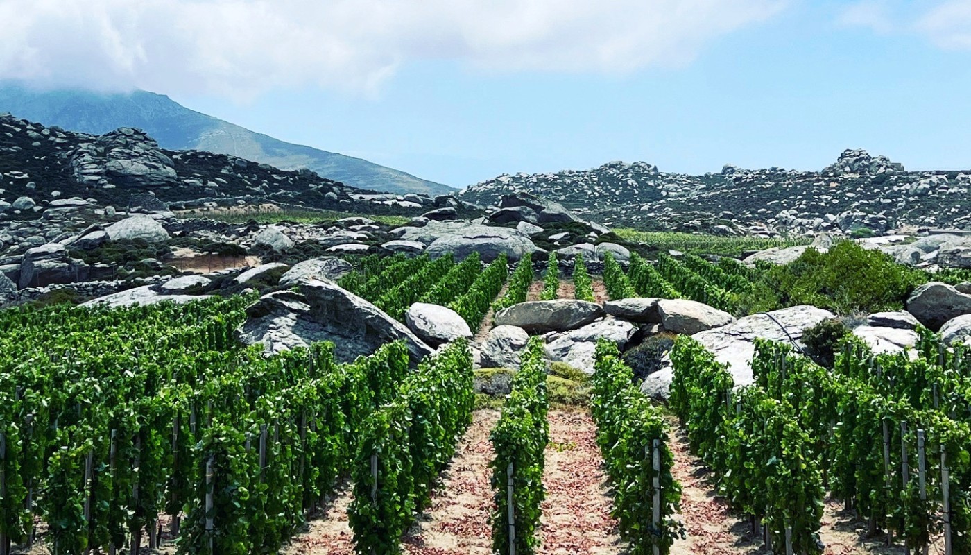 T- OINOS: AN INTENSE BLAST OF AIR AND SALT | Articles & Know-how