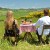The Green Lie: When Sustainability Becomes Nothing More Than Marketing