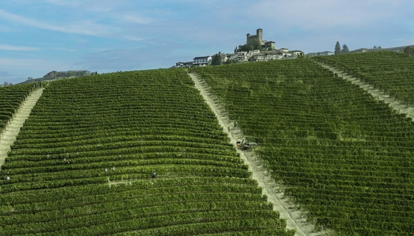 THE SOFTER AND THE TOUGHER SIDE OF PIEDMONT | Articles & Know-how